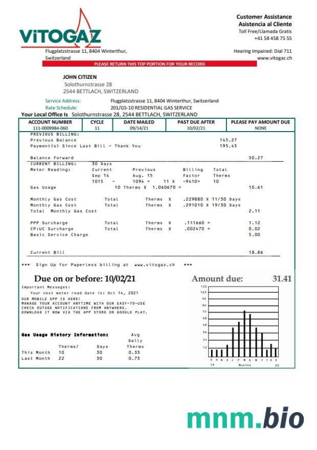 Szwajcaria Vitogaz Switzerland AG szablon rachunku za media, w pełni edytowalny w formacie Word i PDF